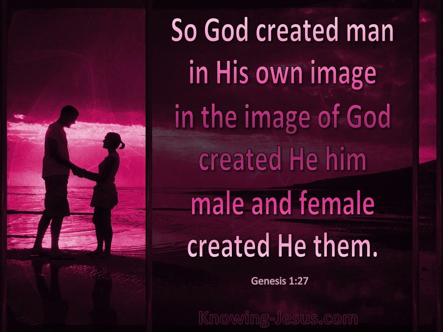 Genesis 1 27 God Created Man In His Own Image Pink